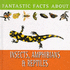 Fantastic Facts About Insects, Amphibians, & Reptiles