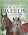 Horse and Pony Breeds