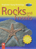 Rocks and Fossils (Kingfisher Young Knowledge)