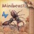 Flip the Flaps: Minibeasts