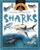 Explore and Discover: Sharks: Sharks (Question Time)