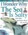 I Wonder Why...the Sea is Salty and Other Questions About the Oceans
