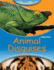 Science Kids Animal Disguises