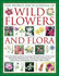 The World Encyclopedia of Wild Flowers and Flora: an Authorative Guide to More Than 750 Wild Flowers of the World. Beautifully Illustrated With Over...Watercolours, Photographs and Maps