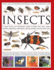 The Illustrated World Encyclopaedia of Insects: a Natural History and Identification Guide to Beetles, Flies, Bees Wasps, Springtails, Mayflies, ......Many More (Illustrated World Encyclopedia)