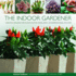 The Indoor Gardener: Creative Designs for Plants in the Home