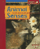 Animal Senses (Spyglass Books: Life Science)