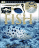 Fish (Dk Eyewitness Books)