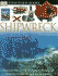 Dk Eyewitness Books: Shipwreck