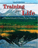 Training for Life: a Practical Guide to Career and Life Planning