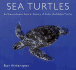 Sea Turtles: an Extraordinary Natural History of Some Uncommon Turtles