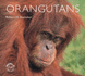 Orangutans (Worldlife Library)
