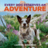 Every Dog Deserves an Adventure: Amazing Stories of Camping With Dogs