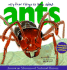 Very First Things to Know About Ants [With Full-Color Sticker Sheet With 25 Die-Cut Reusable]