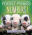 Pocket Piggies Numbers! : Featuring the Teacup Pigs of Pennywell Farm