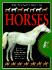 The Fantastic Book of Horses (the Inside Outside Book of)