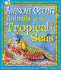 Animals of the Tropical Sea