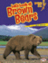 Let's Look at Brown Bears (Lightning Bolt Books ? Animal Close-Ups)