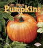 Pumpkins (First Step Nonfiction)