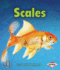 Scales