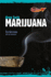 Marijuana