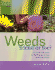 Weeds: Friend Or Foe?