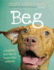 Beg: a Radical New Way of Regarding Animals