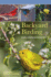 Backyard Birding: a Guide to Attracting and Identifying Birds
