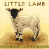 Little Lamb