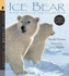Ice Bear: in the Steps of the Polar Bear [With Cd (Audio)]