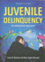 Juvenile Delinquency: an Integrated Approach