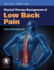 Physical Therapy Management of Lower Back Pain: a Case-Based Approach