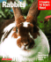 Rabbits (Complete Pet Owner's Manual)