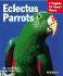 Eclectus Parrots: Everything About Purchase, Care, Feeding, and Housing