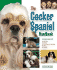 The Cocker Spaniel Handbook (Barron's Pet Handbooks)