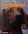 Training Your Dachshund