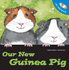 Let's Take Care of Our New Guinea Pig (Let's Take Care of Books) Algarra, Alejandro; Curto, Rosa Maria and Hopwood, Sally-Ann