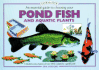 An Essential Guide to Choosing Your Pond Fish and Aquatic Plants (Tankmasters)