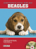 Beagles Barron''S Dog Bibles