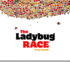 The Ladybug Race