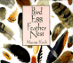 Bird Egg Feather Nest (Maryjo Koch Series)