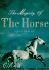 The Majesty of the Horse