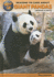 Top 50 Reasons to Care About Giant Pandas: Animals in Peril