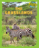 The Grasslands: Discover This Wide Open Biome (Discover the World's Biomes)