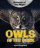 Owls After Dark (Animals of the Night)