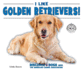 I Like Golden Retrievers!