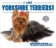 I Like Yorkshire Terriers! (Discover Dogs With the American Canine Association)