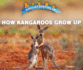 How Kangaroos Grow Up (Animals Growing Up)