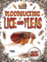 Bloodsucking Lice and Fleas (Creepy Crawlies)