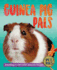 Guinea Pig Pals (Pet Pals)